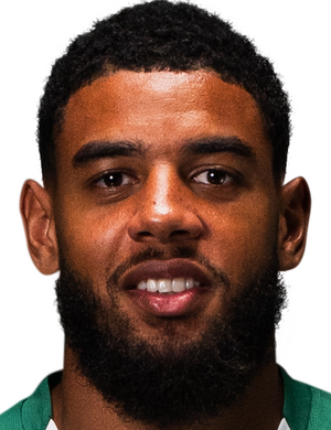 Геббельс, Виллем