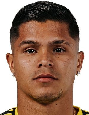 Эрнандес, Кучо