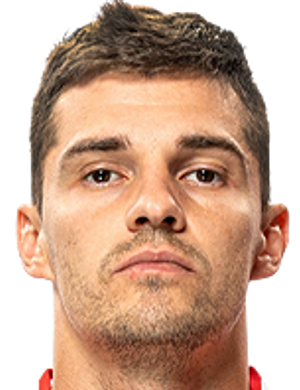 Зобнин, Роман