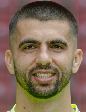 Лабрович, Недилько