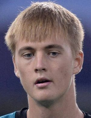 Бергстром, Лукас