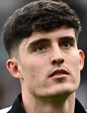 Ливраменто, Тино