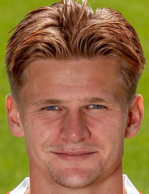 Вольф, Дэвид Мёллер