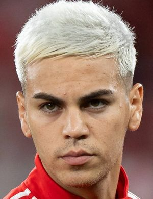 Барренеча, Энзо