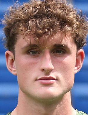 Петерссон, Лукас