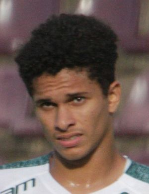 Габриэль Сильва