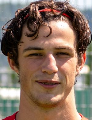 Роль, Мерлин