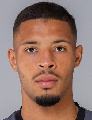 Де Перчин, Тео