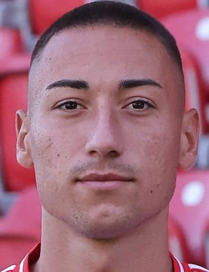 Любичич, Марин