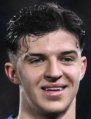 Мухаремович, Тарик