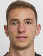 Звонарек, Ловро