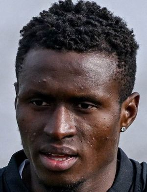 Анкей, Дэвид