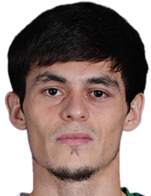 Ибишев, Турпал-Али