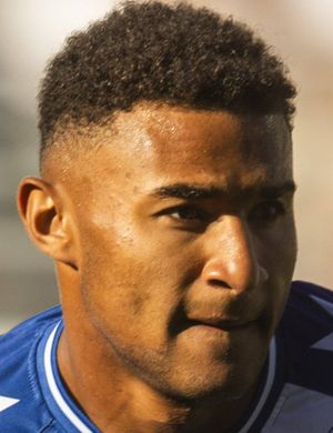 Мейстер, Хенрик