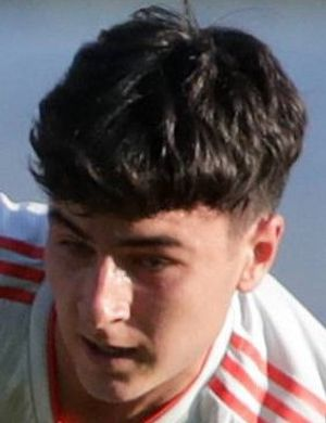 Алонсо Мартин, Родриго