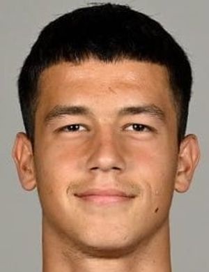 Илич, Михайло