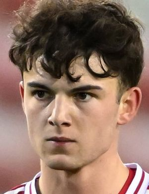 Фредриксон, Тайлер