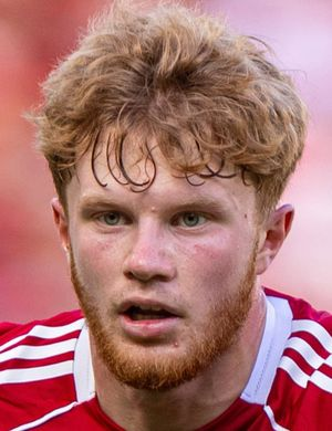 Стивенсон, Лука