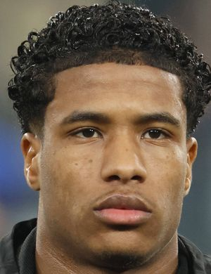 Фламинго, Райан