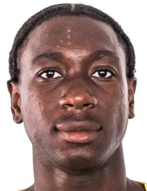 Кулибали, Мамаду