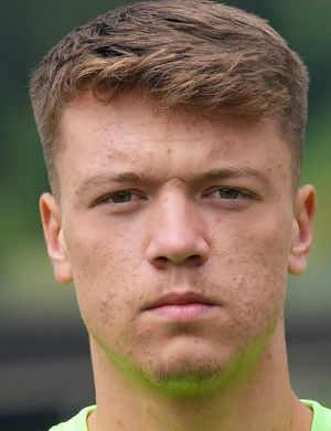 Пейчинович, Дженан