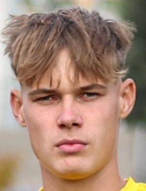 Лысёнок, Эрнестас