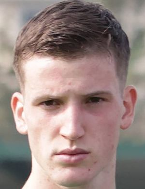 Каллигарис, Алессандро