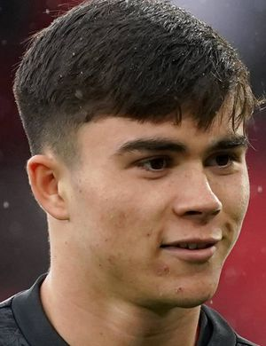 Амасс, Гарри