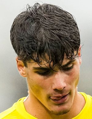 Ренцетти, Давиде