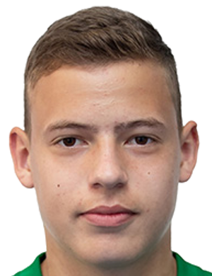 Крапивцов, Владислав