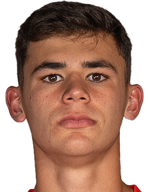 Москардо, Габриэль