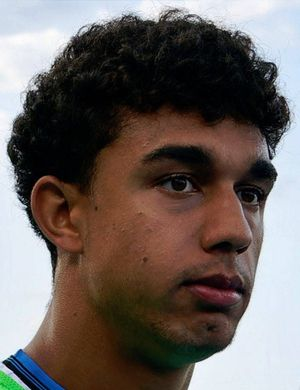 Вавассори, Доминик