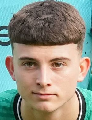 Чарлтон, Дилан Гарри