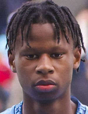 Мфуни, Стивен