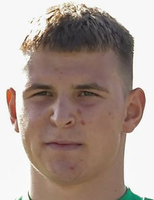 Железны, Радослав