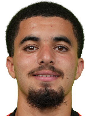 Сальи, Илиес