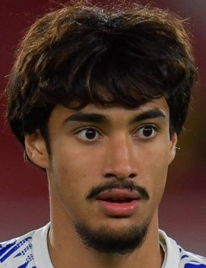 гарниер ераван