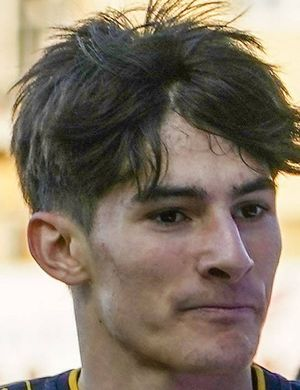 Фортини, Никколо