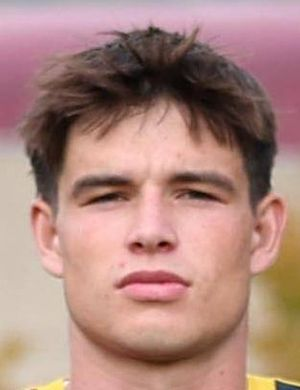 Челик Кумер, Алин