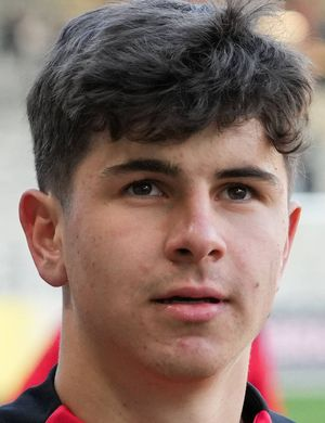 Штайнманн, Карл