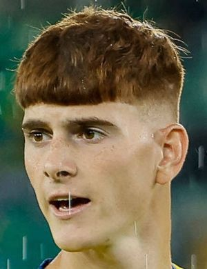 Кастаньини, Мирко