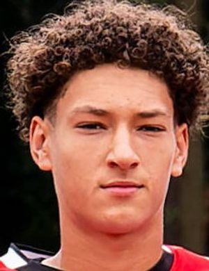 Мериен, Фабиан