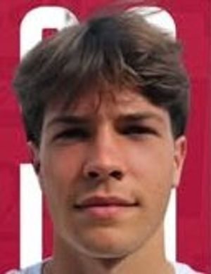 Бассанини, Риккардо