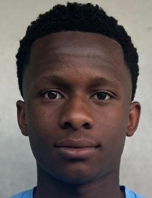 диабате адамс