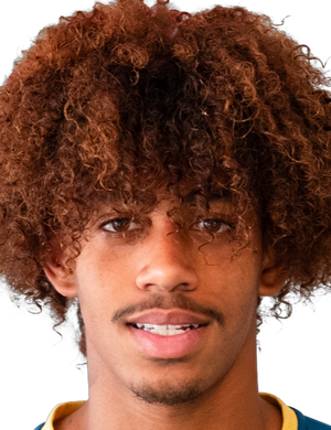 тоуре илане