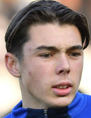 Буффон, Луи