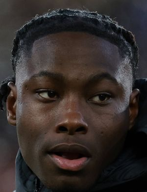 Боли, Дэвид