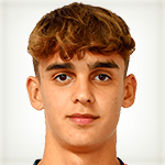 Барбини, Маттео