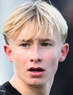 Флек, Фриц Анри