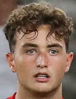 Хули, Раффаэле